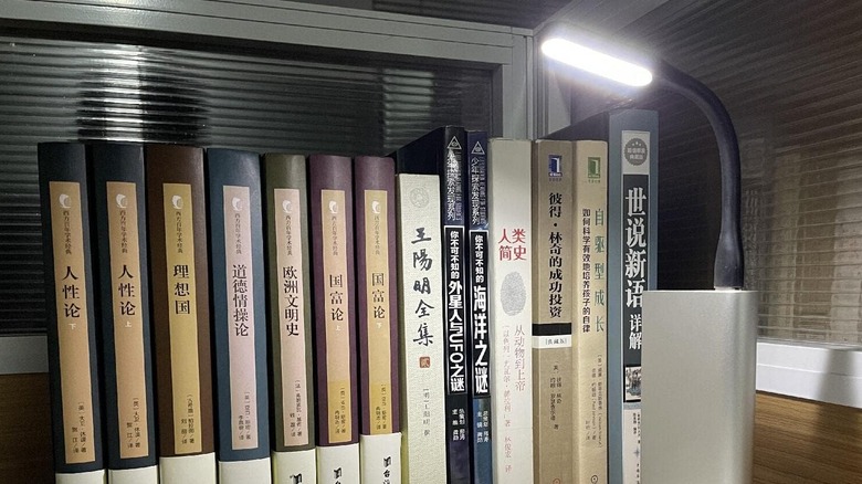 Flexible light shining across a row of books