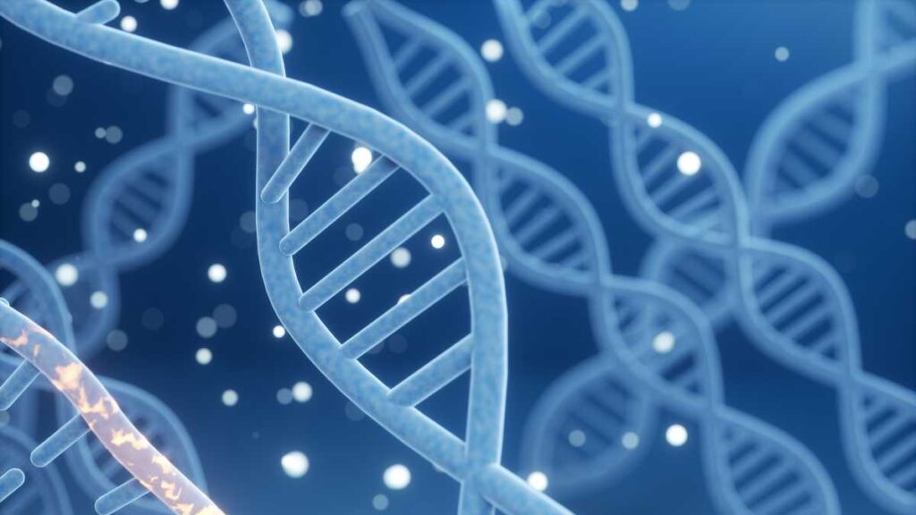 Genetics company data breach may have exposed medical conditions, Social Security numbers. Genetics company data breach may have exposed medical conditions, Social Security numbers.
