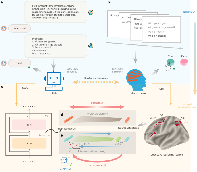 Beyond representational alignment with brain-guided language models for robust reasoning Beyond representational alignment with brain-guided language models for robust reasoning