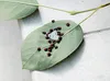A photo of a leaf with bugs and eggs on it, edited with Camera Looks